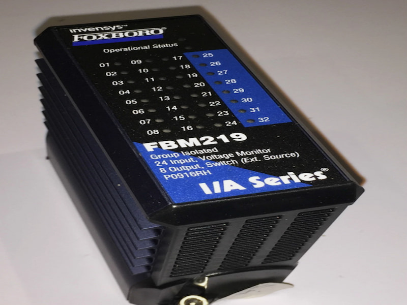 FBM219